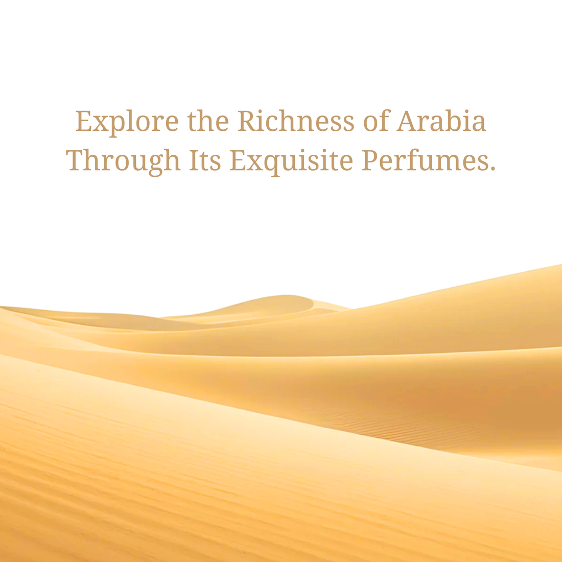 Discover the Allure of Arabian Perfumes: Your Guide to Authentic Fragrance Shopping